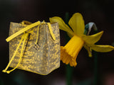 Alya Bucket Small - lizard embossing yellow